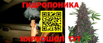 молекула духа Мариинск