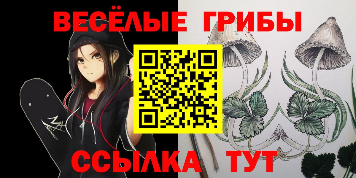 Златоуст  Галлюциногенные грибы ЛСД  Вход с VPN 