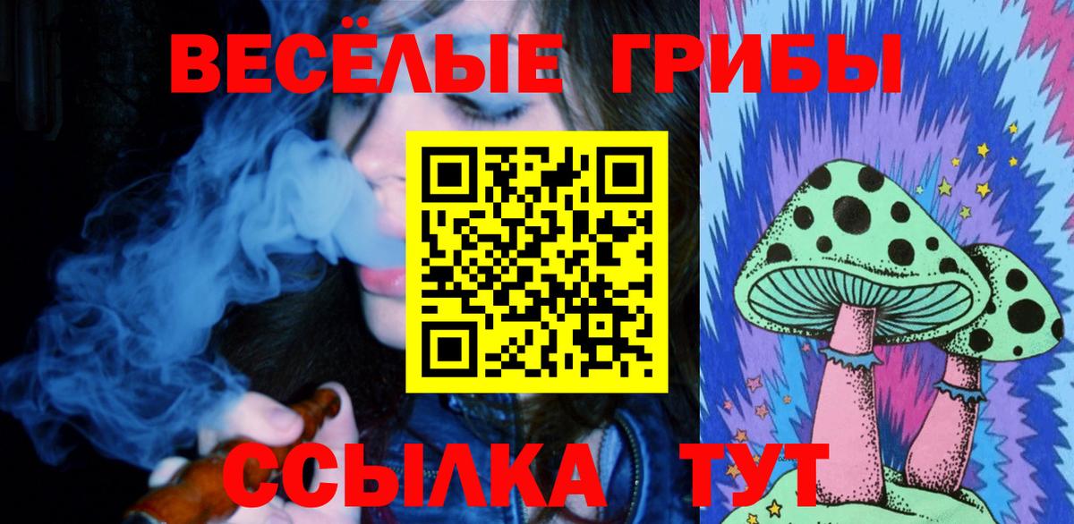 Псилоцибиновые грибы Cubensis Златоуст